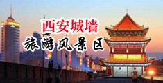 亚洲精品福利成年人jinvtv中国陕西-西安城墙旅游风景区